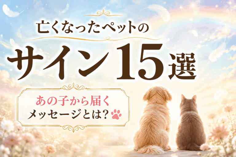 亡くなったペットのサイン15選｜あの子から届くメッセージとは？🐾